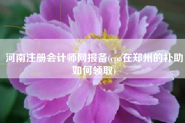 河南注册会计师网报备(cpa在郑州的补助如何领取)