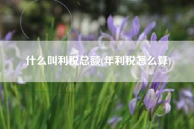 什么叫利税总额(年利税怎么算)