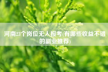 河南23个岗位无人报考(有哪些收益不错的副业推荐)