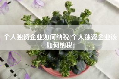个人独资企业如何纳税(个人独资企业该如何纳税)