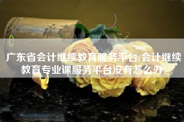 广东省会计继续教育服务平台(会计继续教育专业课服务平台没有怎么办)