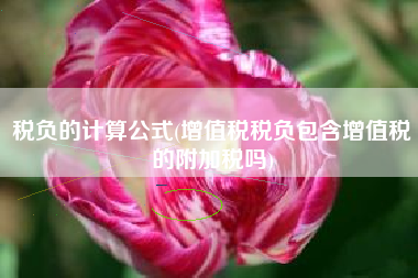 税负的计算公式(增值税税负包含增值税的附加税吗)