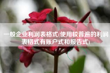 一般企业利润表格式(使用较普遍的利润表格式有账户式和报告式)
