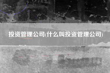 投资管理公司(什么叫投资管理公司)