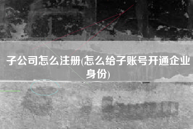子公司怎么注册(怎么给子账号开通企业身份)