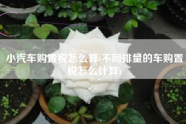 小汽车购置税怎么算(不同排量的车购置税怎么计算)