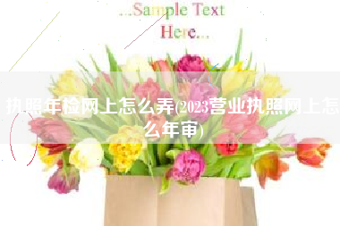 执照年检网上怎么弄(2023营业执照网上怎么年审)