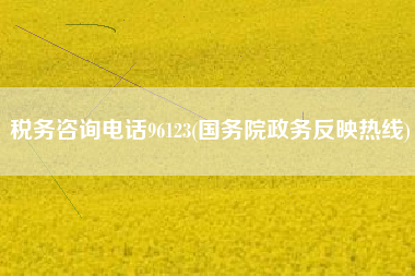 税务咨询电话96123(国务院政务反映热线)