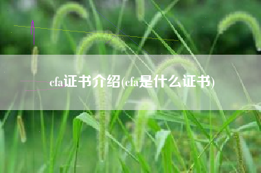 cfa证书介绍(cfa是什么证书)