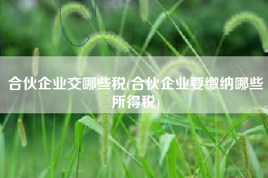 合伙企业交哪些税(合伙企业要缴纳哪些所得税)