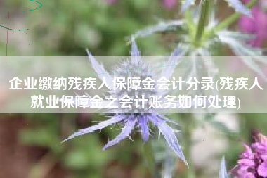 企业缴纳残疾人保障金会计分录(残疾人就业保障金之会计账务如何处理)