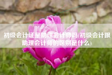 初级会计证是助理会计师吗(初级会计跟助理会计师的区别是什么)