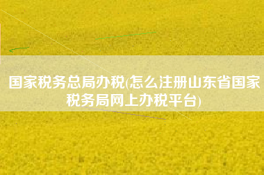 国家税务总局办税(怎么注册山东省国家税务局网上办税平台)