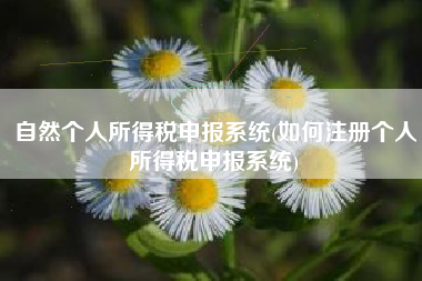 自然个人所得税申报系统(如何注册个人所得税申报系统)