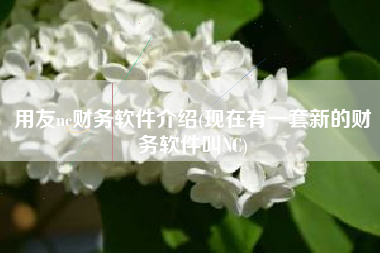 详细阅读:用友nc财务软件介绍(现在有一套新的财务软件叫NC) 用友nc财务软件介绍(现在有一套新的财务软件叫NC)
