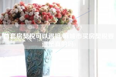 详细阅读:首套房契税可以退吗(麻城市买房契税要退是真的吗) 首套房契税可以退吗(麻城市买房契税要退是真的吗)
