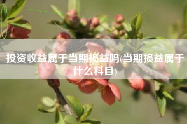 投资收益属于当期损益吗(当期损益属于什么科目)