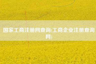 国家工商注册网查询(工商企业注册查询网)