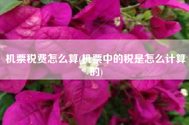 机票税费怎么算(机票中的税是怎么计算的)