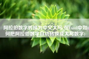 阿拉伯数字转换为中文大写(在Excel中如何把阿拉伯数字自动转换成大写数字)