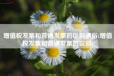 增值税发票和普通发票的区别通俗(增值税发票和普通发票的区别)