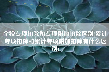 个税专项扣除和专项附加扣除区别(累计专项扣除和累计专项附加扣除有什么区别)