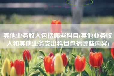 详细阅读:其他业务收入包括哪些科目(其他业务收入和其他业务支出科目包括哪些内容) 其他业务收入包括哪些科目(其他业务收入和其他业务支出科目包括哪些内容)