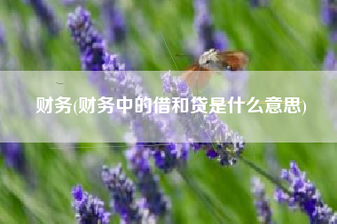 详细阅读:财务(财务中的借和贷是什么意思) 财务(财务中的借和贷是什么意思)