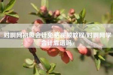 对啊网初级会计免费视频教程(对啊网学会计靠谱吗)