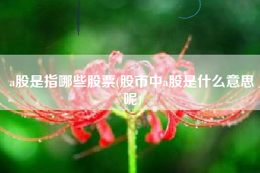 a股是指哪些股票(股市中a股是什么意思呢)