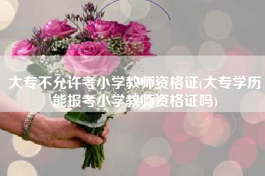 大专不允许考小学教师资格证(大专学历能报考小学教师资格证吗)