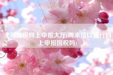 无锡国税网上申报大厅(周末可以进行网上申报国税吗)