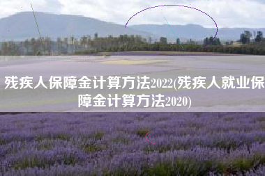 残疾人保障金计算方法2022(残疾人就业保障金计算方法2020)