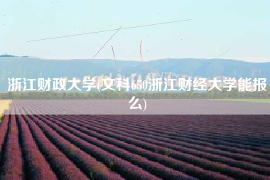 详细阅读:浙江财政大学(文科650浙江财经大学能报么) 浙江财政大学(文科650浙江财经大学能报么)