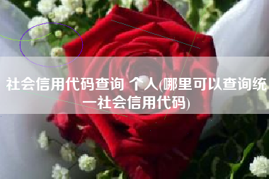 详细阅读:社会信用代码查询 个人(哪里可以查询统一社会信用代码) 社会信用代码查询 个人(哪里可以查询统一社会信用代码)