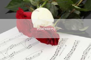详细阅读:cisa(worry) cisa(worry)
