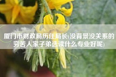 详细阅读:厦门市财政局历任局长(没背景没关系的穷苦人家子弟选读什么专业好呢) 厦门市财政局历任局长(没背景没关系的穷苦人家子弟选读什么专业好呢)