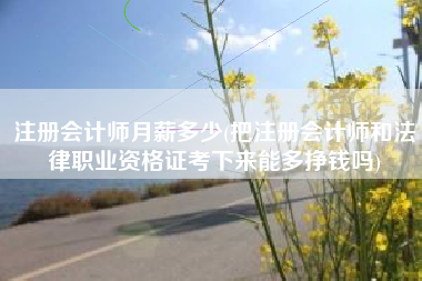 注册会计师月薪多少(把注册会计师和法律职业资格证考下来能多挣钱吗)