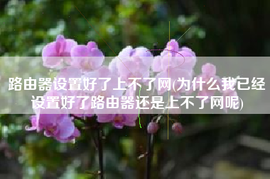路由器设置好了上不了网(为什么我已经设置好了路由器还是上不了网呢)