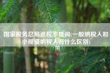 国家税务总局退税率查询(一般纳税人和小规模纳税人有什么区别)