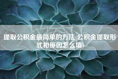 提取公积金最简单的方法(公积金提取形式和原因怎么填)