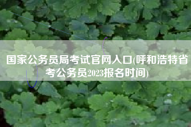 国家公务员局考试官网入口(呼和浩特省考公务员2023报名时间)