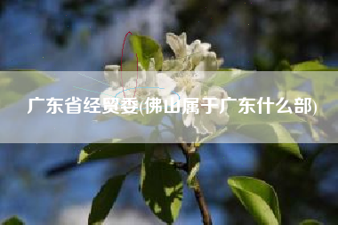 广东省经贸委(佛山属于广东什么部)