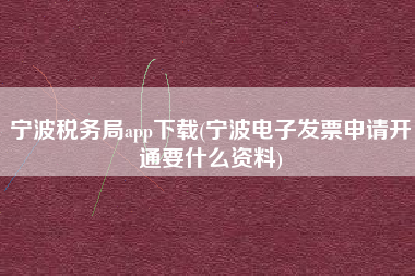 宁波税务局app下载(宁波电子发票申请开通要什么资料)