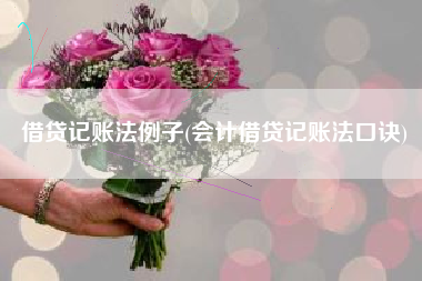 借贷记账法例子(会计借贷记账法口诀)