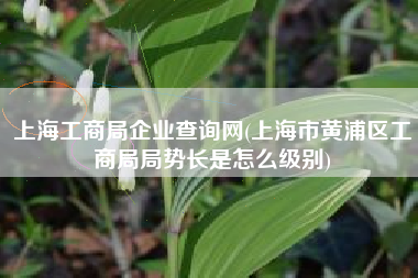 上海工商局企业查询网(上海市黄浦区工商局局势长是怎么级别)