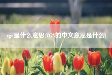 vga是什么意思(VGA的中文意思是什么)
