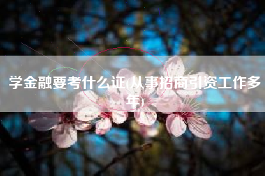 学金融要考什么证(从事招商引资工作多年)