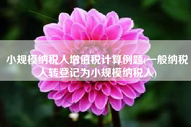 小规模纳税人增值税计算例题(一般纳税人转登记为小规模纳税人)
