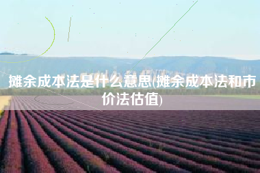 摊余成本法是什么意思(摊余成本法和市价法估值)